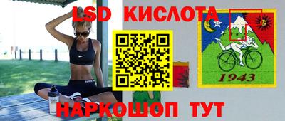 индика Рузаевка