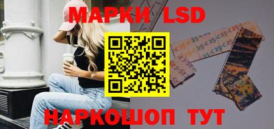 индика Рузаевка