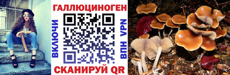 Псилоцибиновые грибы MAGIC MUSHROOMS  Отрадный 