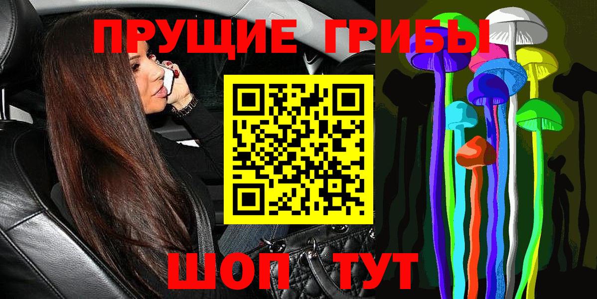 Псилоцибиновые грибы Psilocybe  Вход с VPN  Отрадный 
