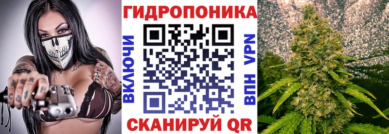 Каннабис марихуана Отрадный