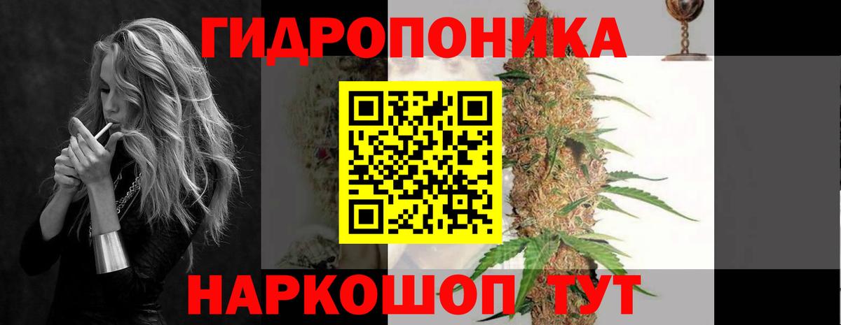 Бошки марихуана VHQ Отрадный